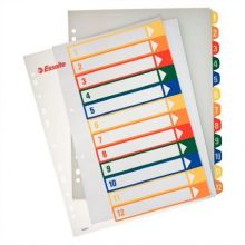 ESSELTE Regiszter, műanyag, A4 Maxi, 1-12, nyomtatható, ESSELTE, áttetsző